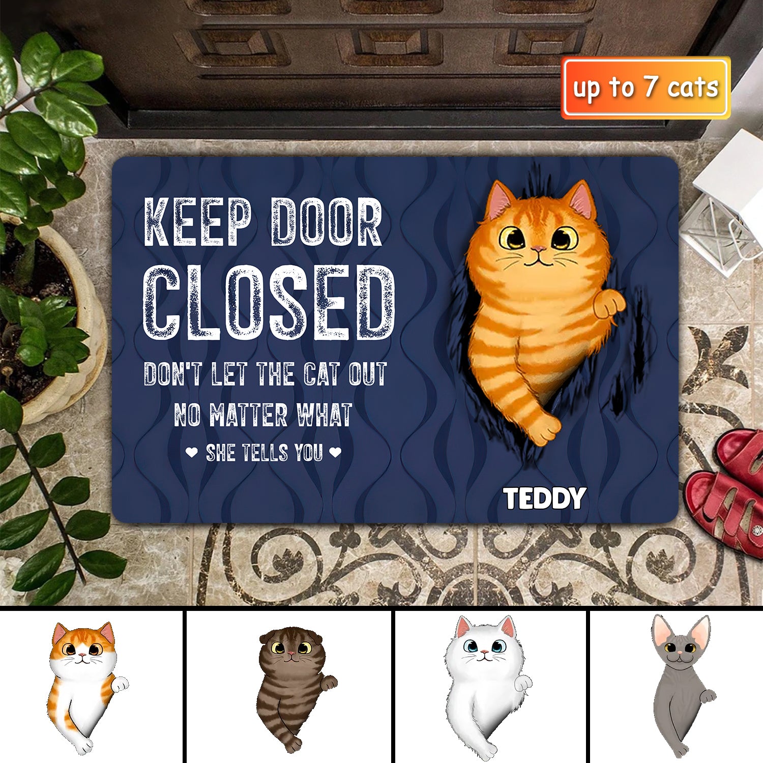 Keep Door Closed Fluffy Cat Tearing Personalized Doormat