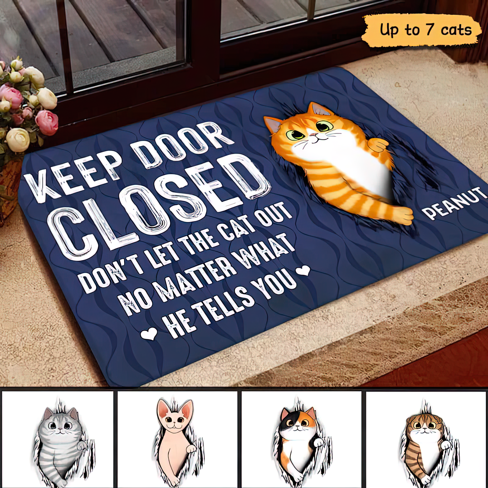 Keep Door Closed Fluffy Cat Tearing Personalized Doormat